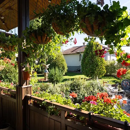 висок клас кътче от рая с басейн, джакузи и Villa Marjan