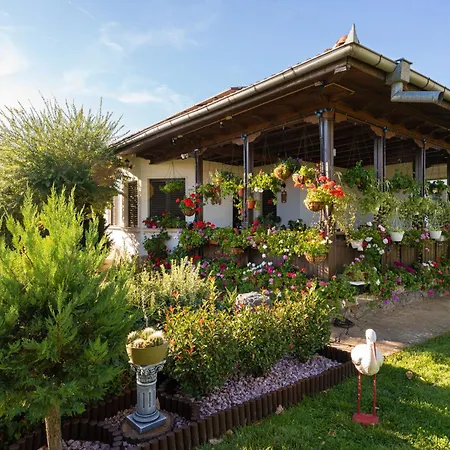 висок клас кътче от рая с басейн, джакузи и * Marjan